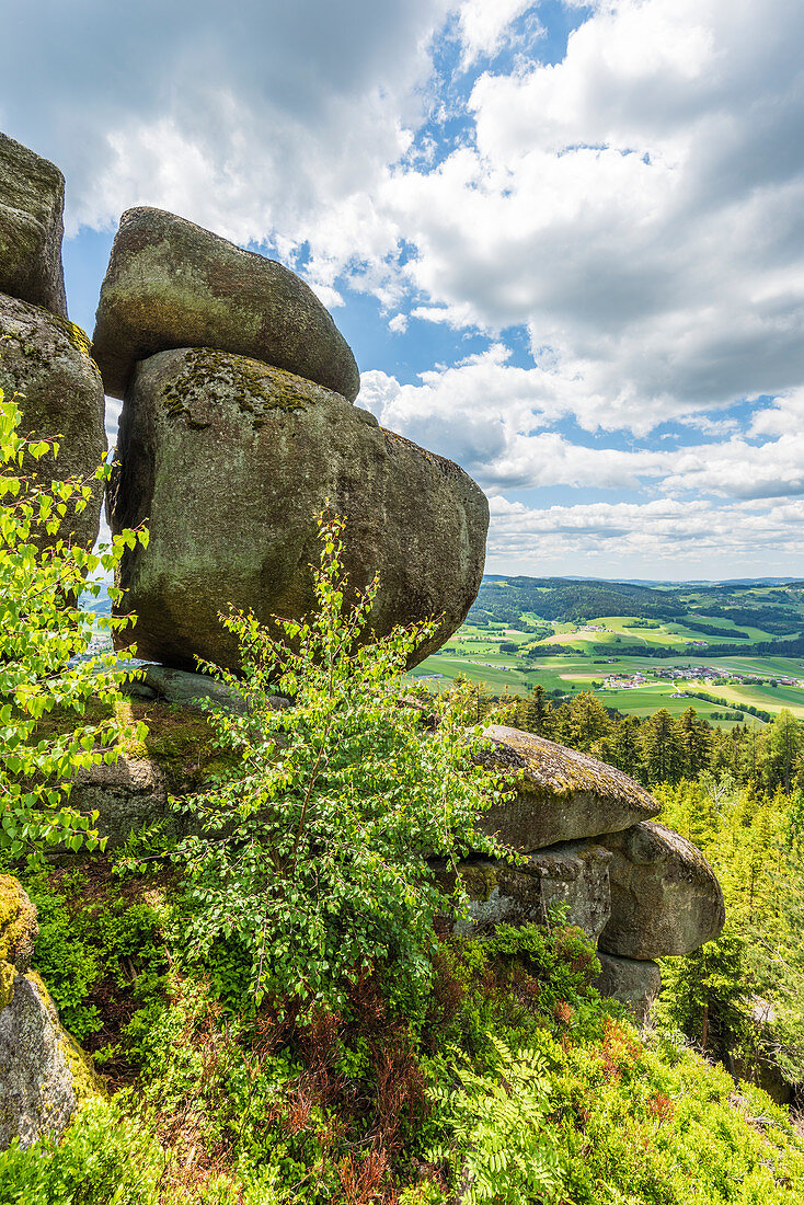 Granitfelsen Hochbuchet in Aigen-Schlägl, Oberes Mühlviertel, Oberösterreich, Österreich