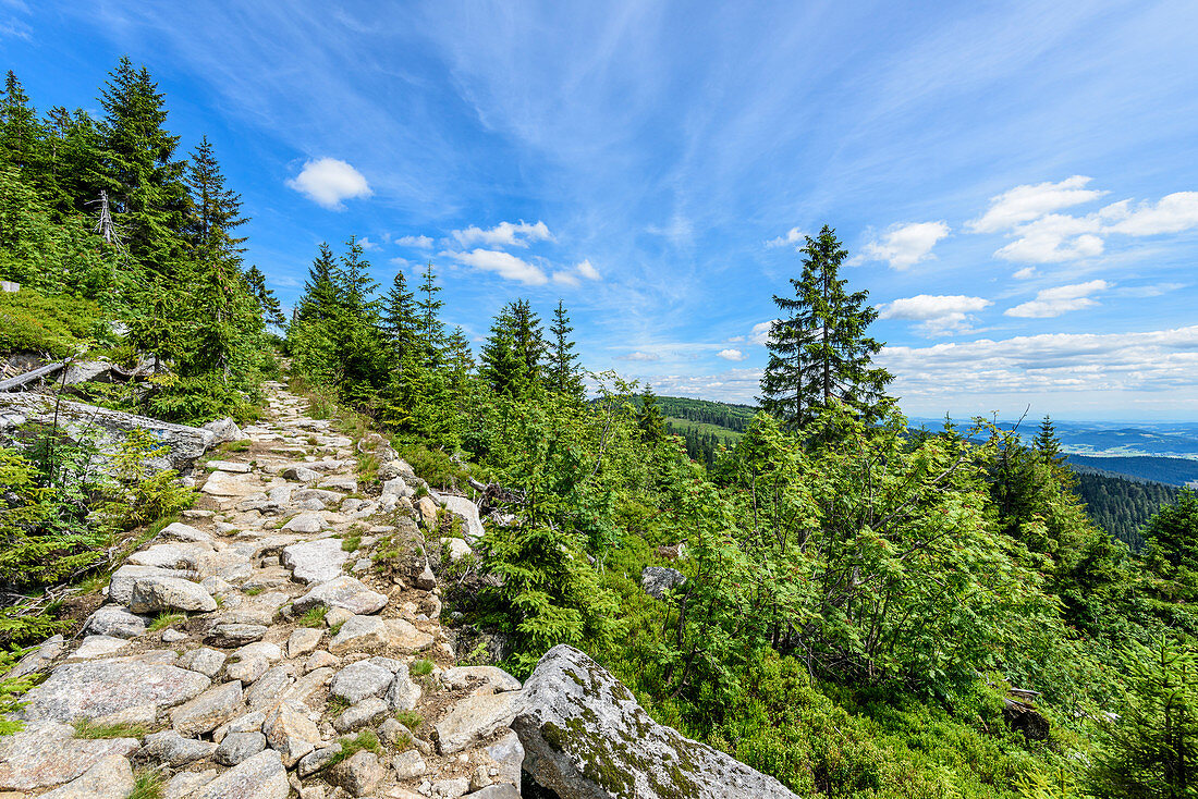 Hiking trail in the Bavarian Forest, Bavaria, Germany