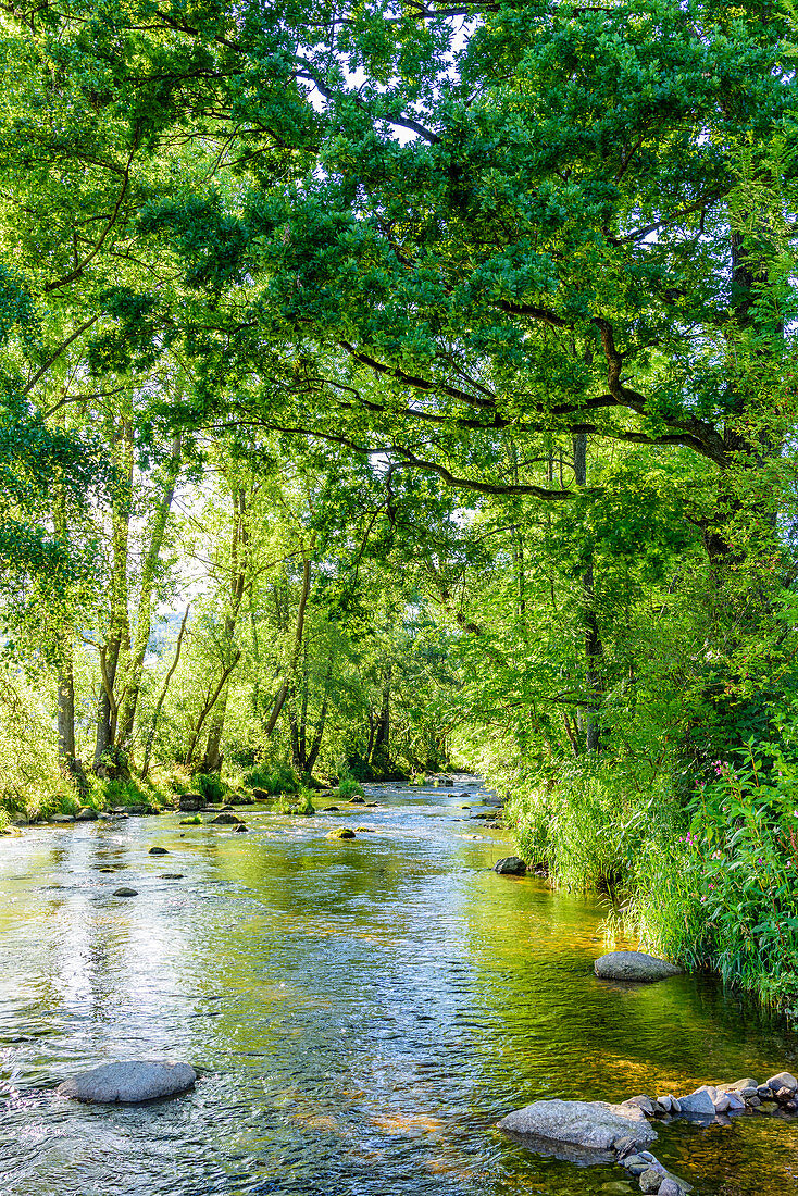 Romantic river landscape in the Mühlviertel, Große Mühl, Upper Austria, Austria