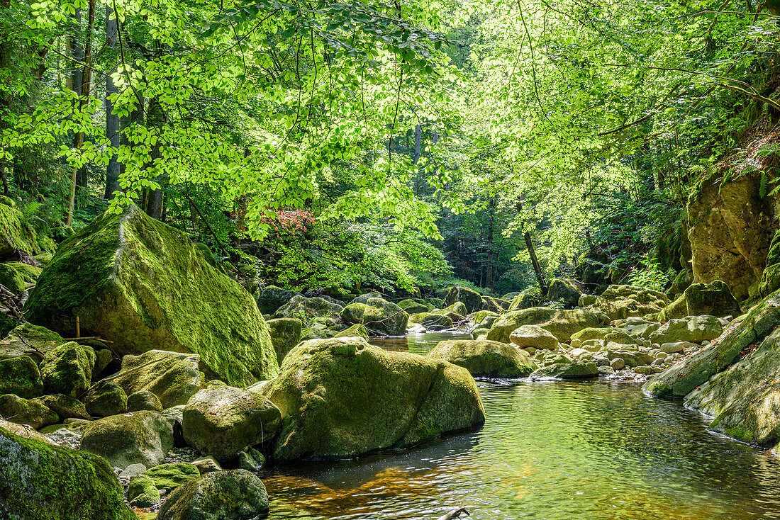 Wildbachklamm Buchberger Leite in the Bavarian Forest, Lower Bavaria, Bavaria, Germany