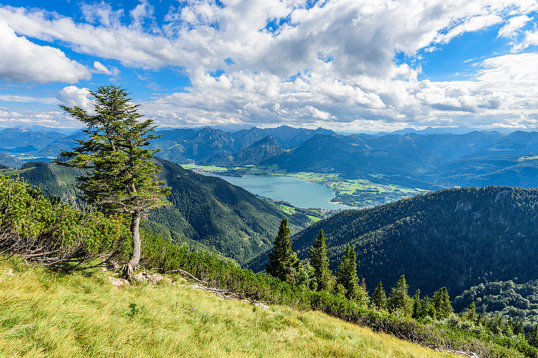 View from the Schafberg to the Woflgangsee in the Salzkammergut, Austria