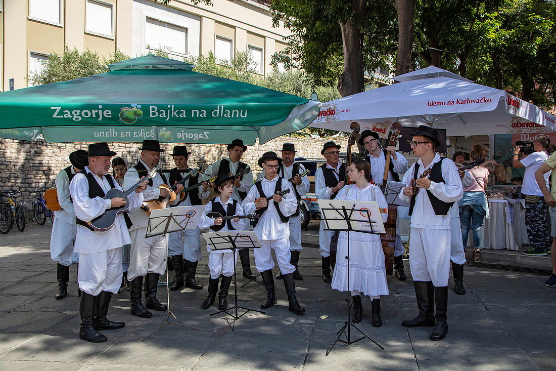 Folkloremusiker treten in der Altstadt auf, Pula, Istrien, Kroatien, Europa