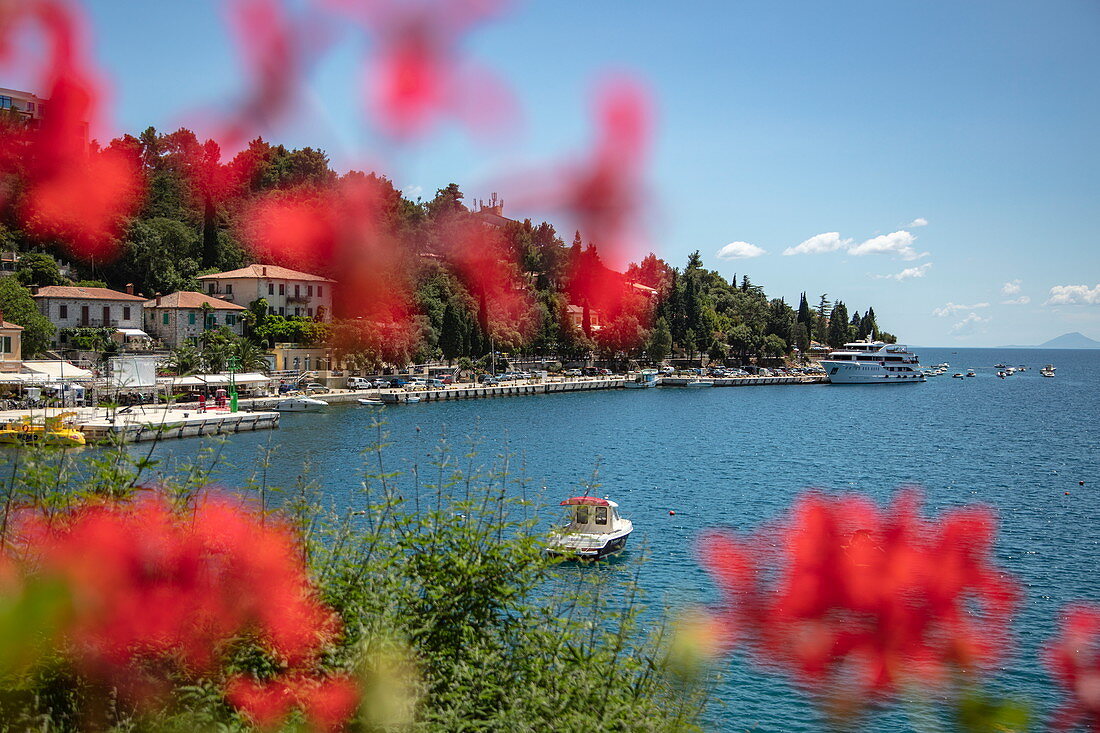 Uferpromenade gesehen durch rote Blumen, Rabac, Istrien, Kroatien, Europa
