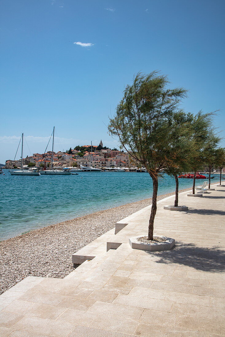 Bäume entlang Strandpromenade, Segelboote und Altstadt, Primosten, Šibenik-Knin, Kroatien, Europa