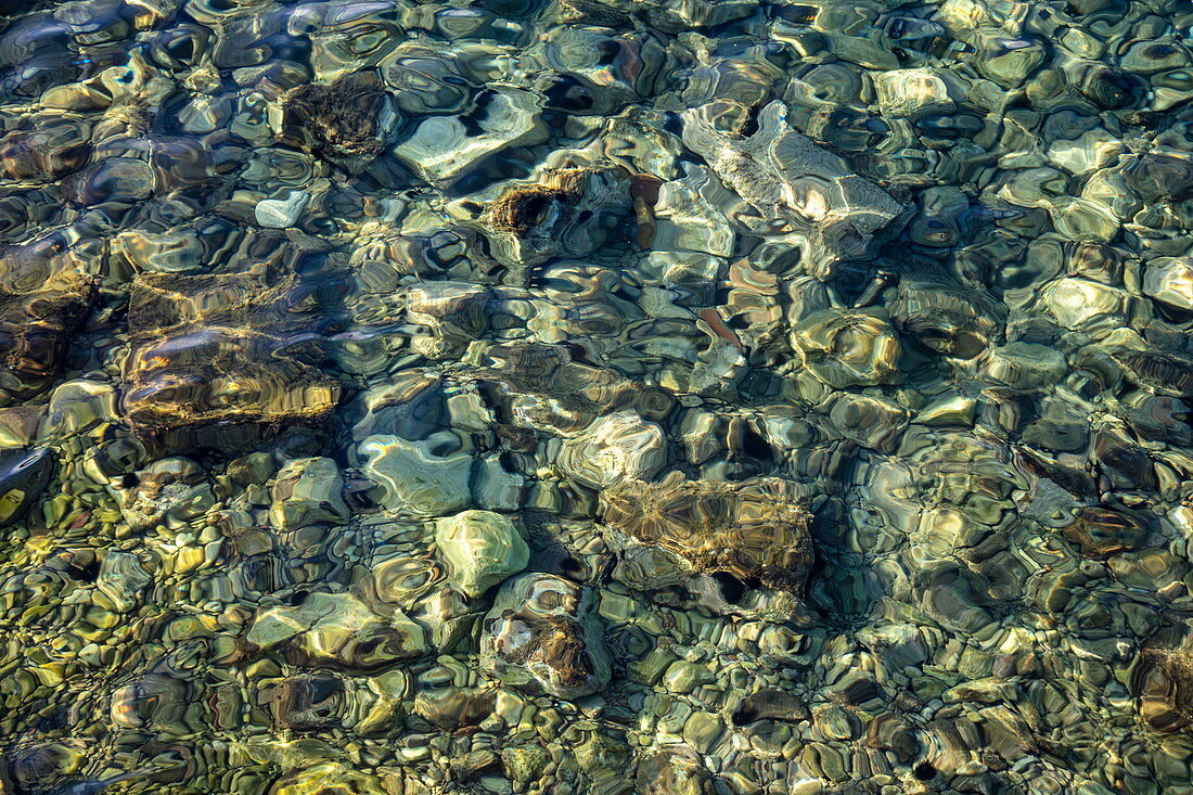 Clear water in the harbor, Vis, Vis, Split-Dalmatia, Croatia, Europe