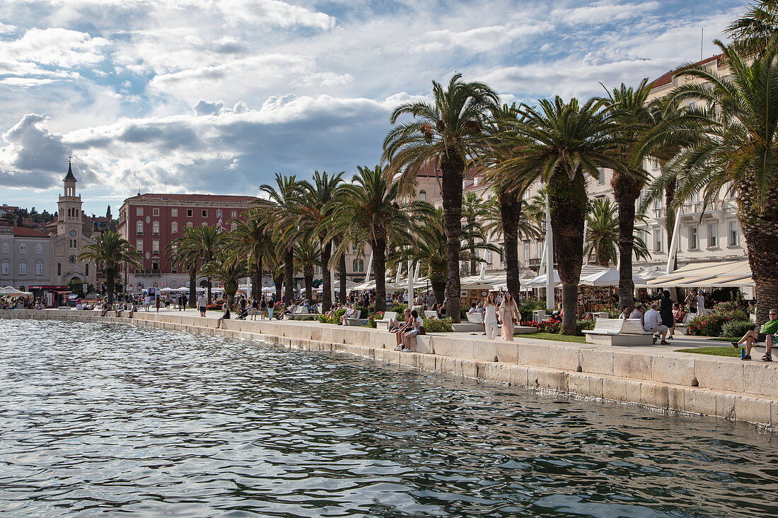 Beach promenade and palm trees, Split, Split-Dalmatia, Croatia, Europe