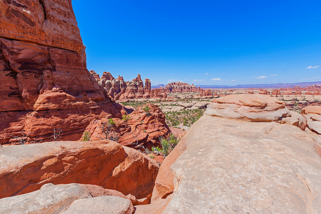 Rock formations, Chesler Park, The Needles district, Canyonlands National Park, Utah, USA