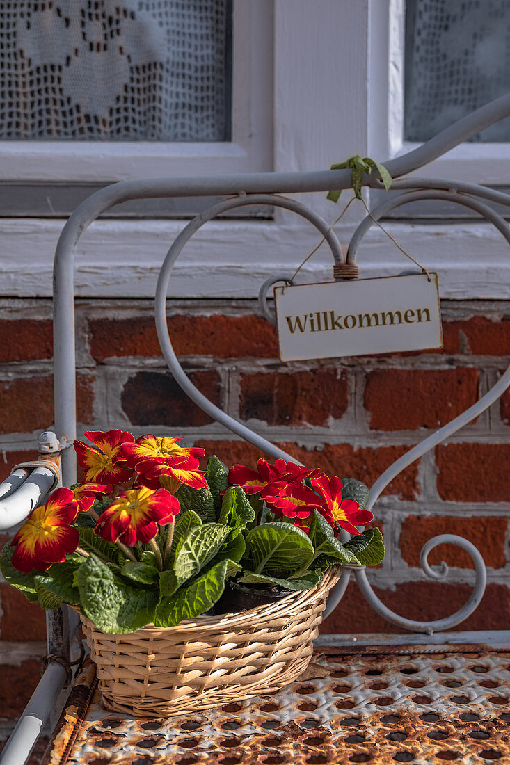 Flowers in the basket on the bench in Lueneburg, Germany