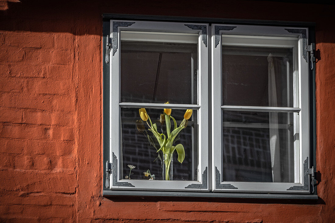 Fenster mit Tulpen in der Altstadt von Lüneburg, Niedersachsen, Deutschland