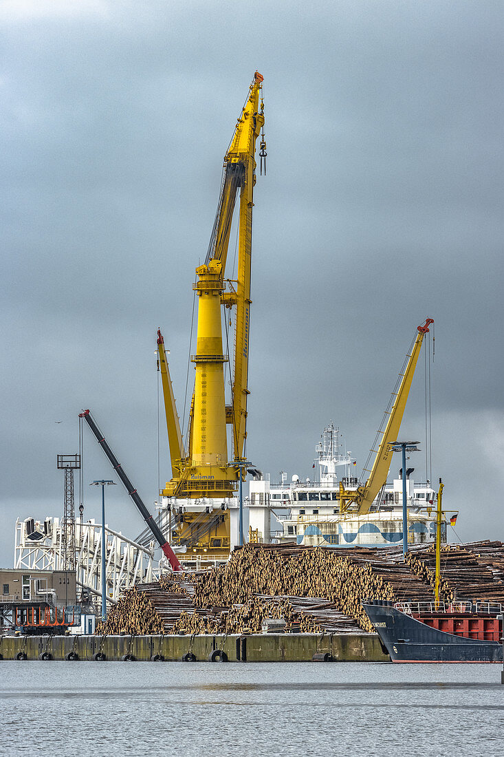 Gelber Kran mit Treibholz im Hafen von Wismar, Deutschland
