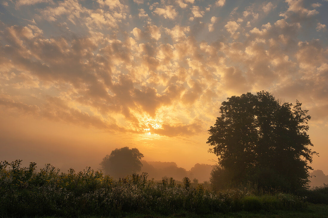 Sunrise in September south of Regensburg, Upper Palatinate, Bavaria, Germany, Europe