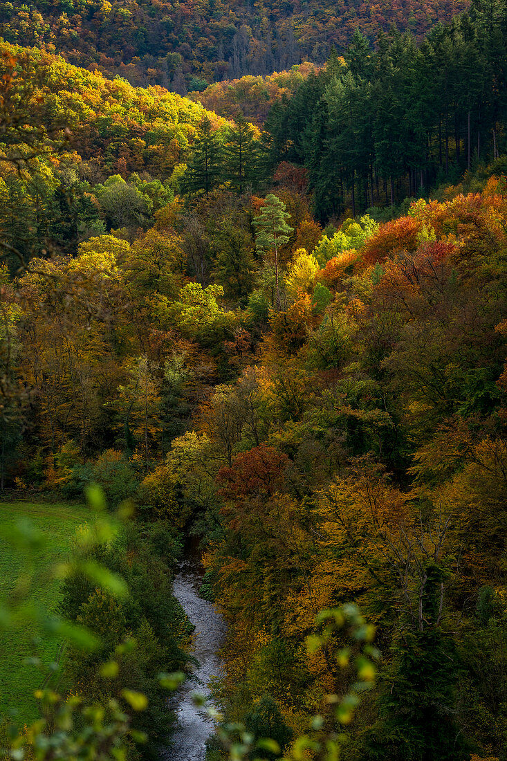 Herbst im Eltztal, Rheinland-Pfalz, Deutschland, Europa