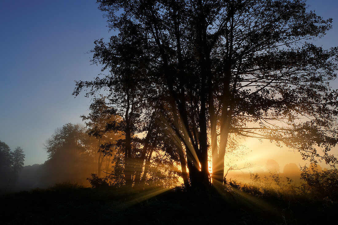 Sunbeams break through the autumn morning mist south of Regensburg, Bavaria, Germany, Europe