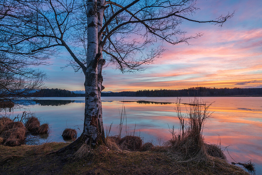 Sonniger Februarabend an den Ostersee, Bayern, Deutschland, Europa