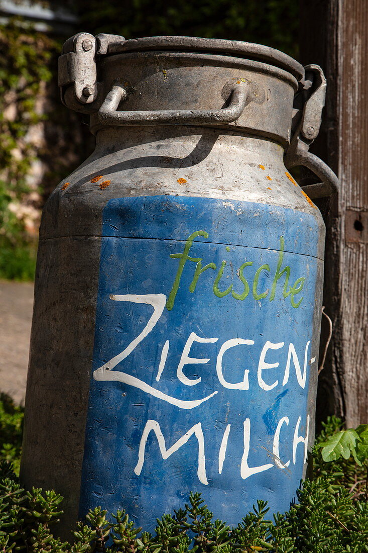 Milk can with inscription &quot;fresh goat milk&quot; on the ecological farm Der Berghof, Schöllkrippen, Kahlgrund, Spessart-Mainland, Franconia, Bavaria, Germany, Europe