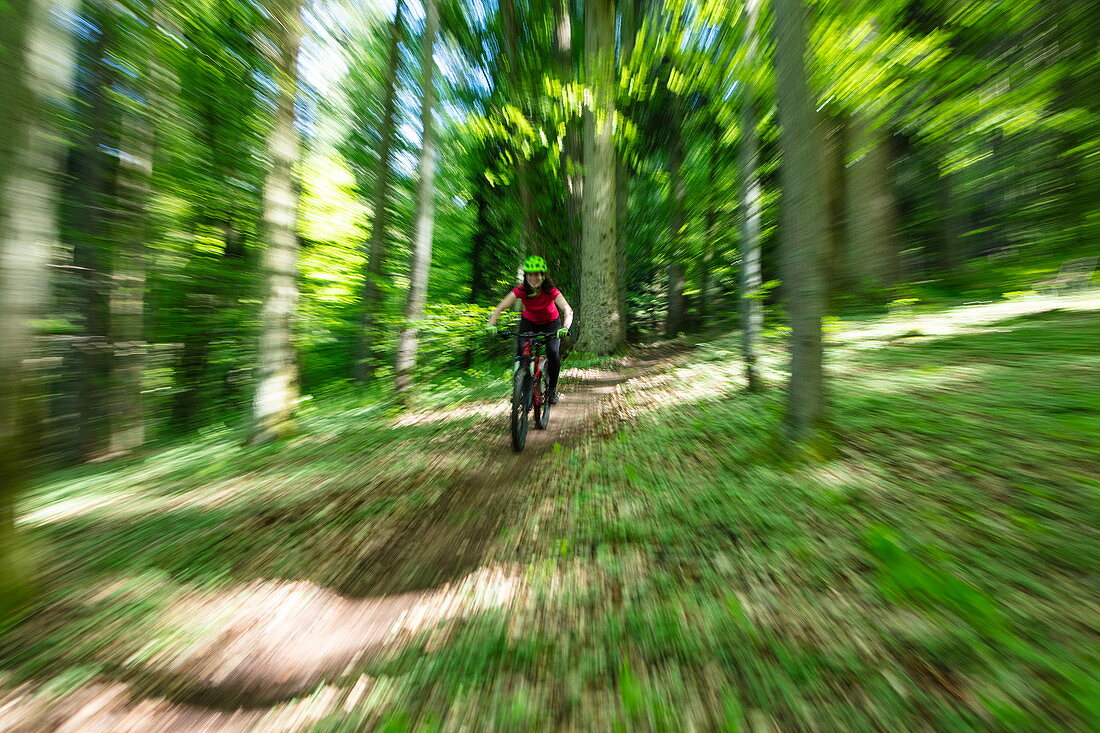 Gezoomtes Bild von einem Mountainbiker bei rasanter Fahrt durch den Wald im Frühling, Wertheim, Spessart-Mainland, Franken, Baden-Württemberg, Deutschland, Europa