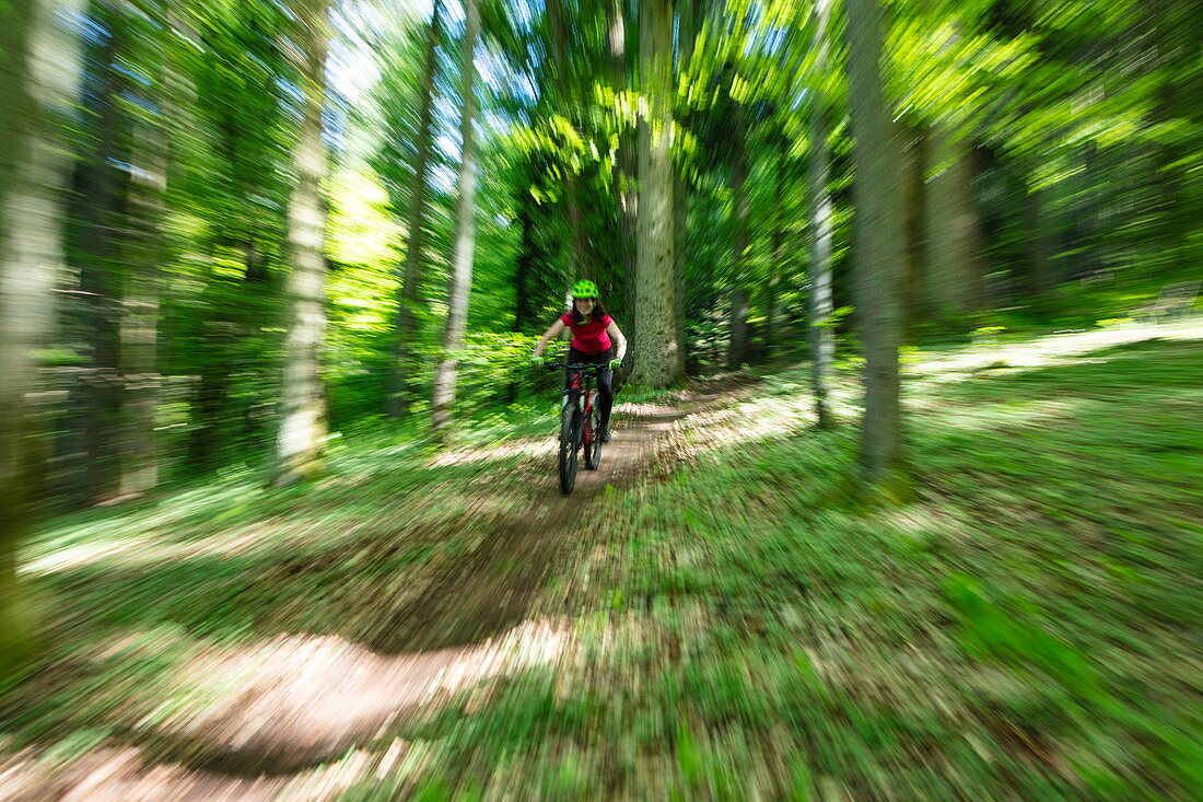 Zoomed picture of a mountain biker on a rapid ride through the forest in spring, Wertheim, Spessart-Mainland, Franconia, Baden-Wuerttemberg, Germany, Europe
