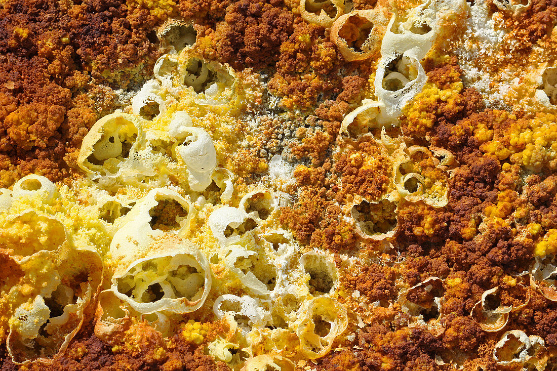 Ethiopia; Afar region; Danakil Desert; Danakil Depression; active geothermal area Dallol; sulphurous salt crust in yellow and red color; hot water and gases emerge from the small openings