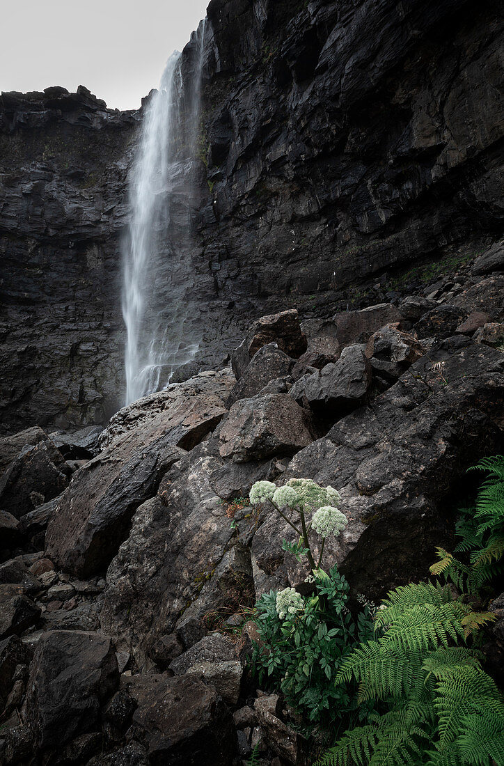 Fossa waterfall on Streymoy island, with flowers, Faroe Islands