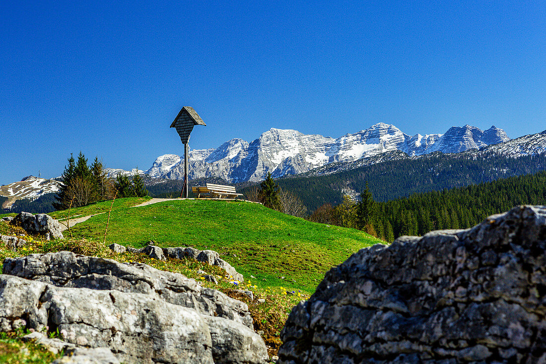 Blick auf die Loferer Steinberge von der Winklmoosalm im Frühling, Tirol, Chiemgau, Bayern, Deutschland