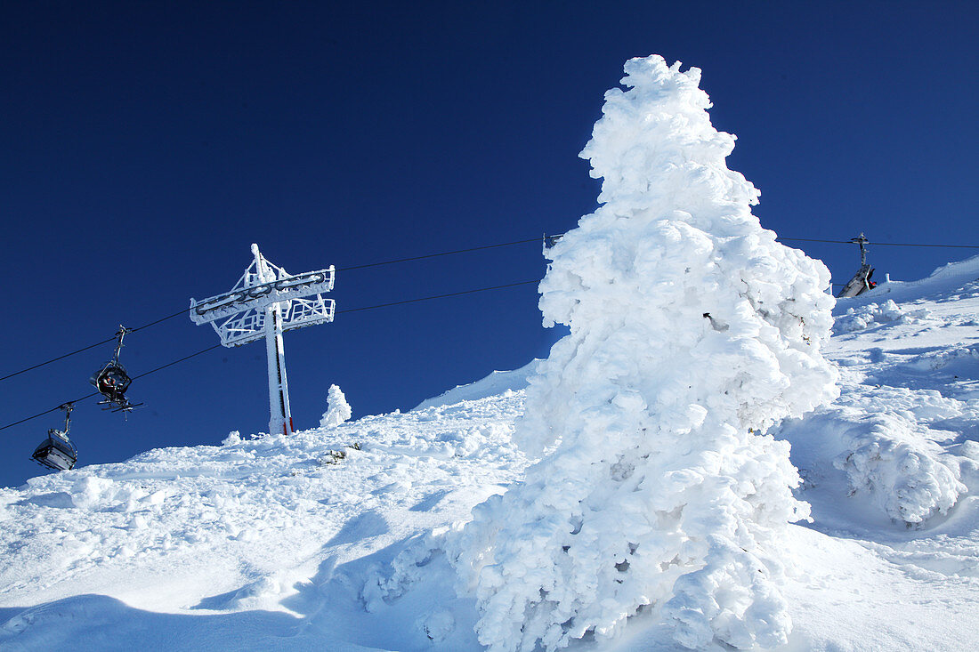 Steinplatte in winter, Tyrol, Pillerseetal, Austria