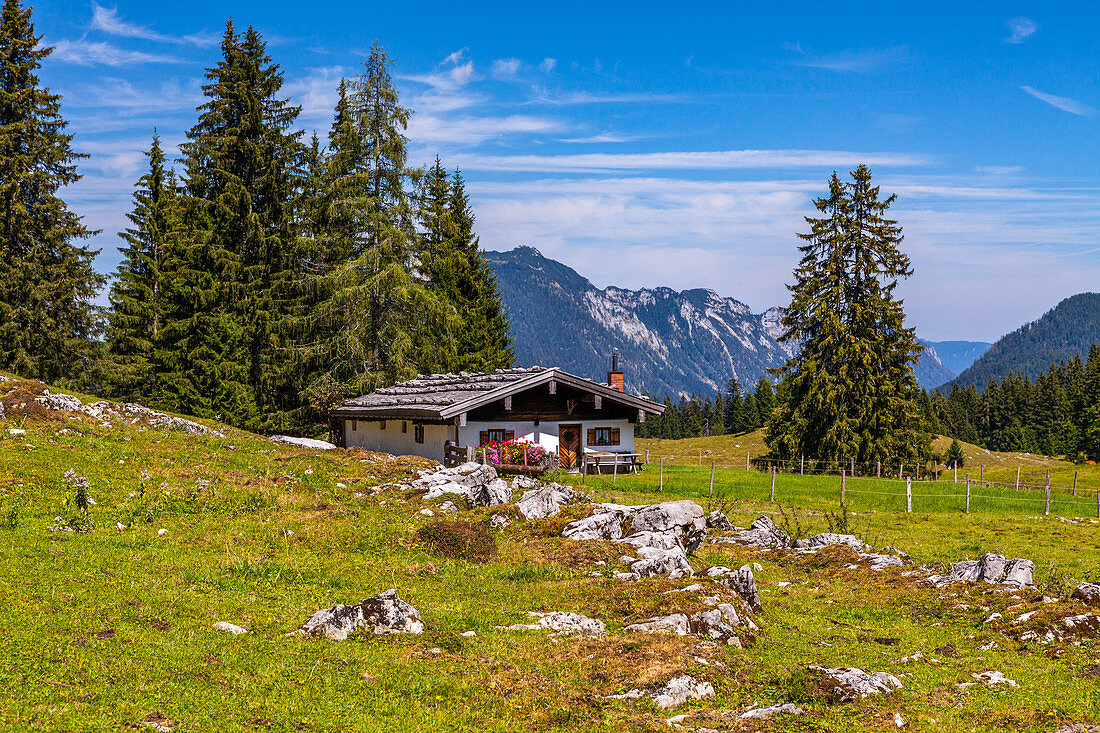 Almhuette Hemmersuppen Alm in summer with a view of the Rauschberg, Chiemgau, Bavaria, Germany