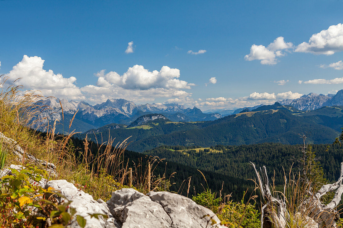 View into the Steinerne Meer and Loferer Steinberge in summer, Chiemgau, Bavaria, Germany, Pinzgau, Salzburg, Austria