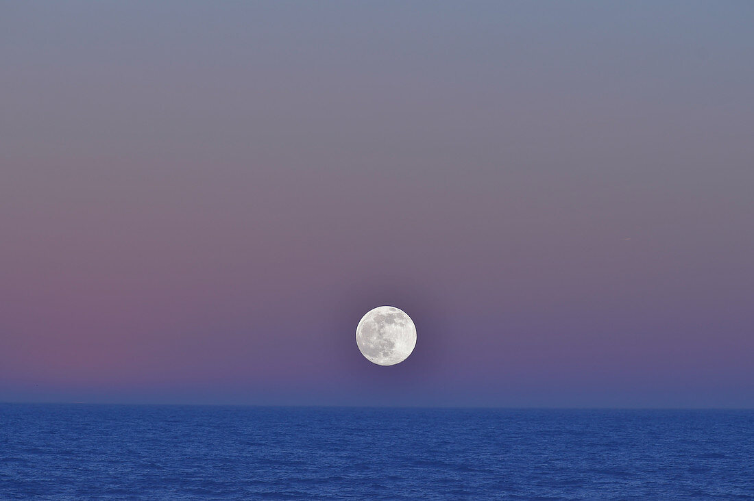 Der Vollmond leuchtet über dem Meer, Skreastrand bei Grimsholmen, Halland, Schweden