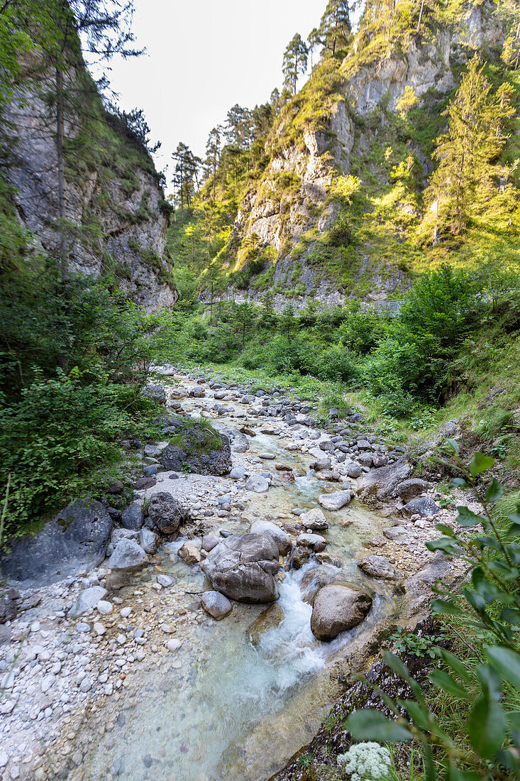 Flusslauf in der Almbachklamm in den Berchtesgadener Alpen, Bayern, Deutschland