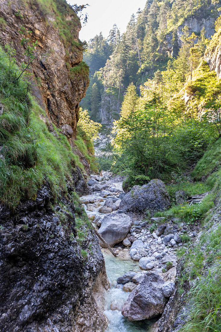 Flusslauf in der Almbachklamm in den Berchtesgadener Alpen, Bayern, Deutschland