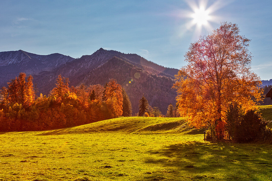 Mountain landscape in the backlight near Hundham, Bavaria, Germany