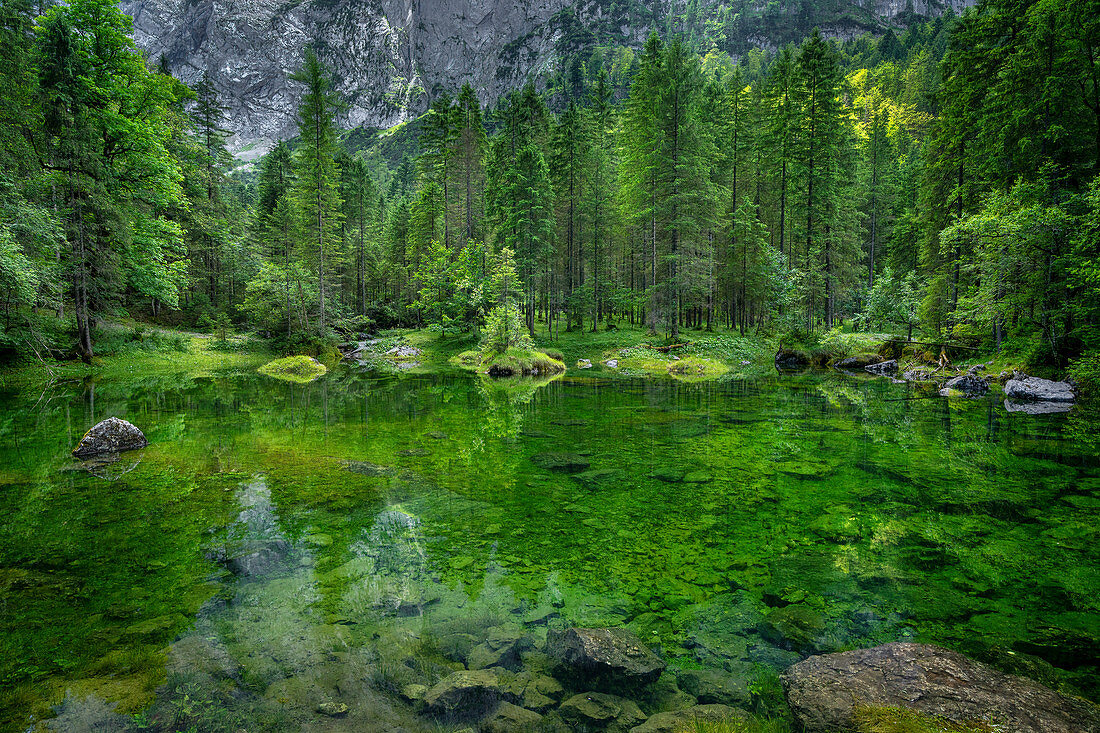 At the Gosaulacke, Gosau, Gosauseen, Upper Austria, Austria, Europe