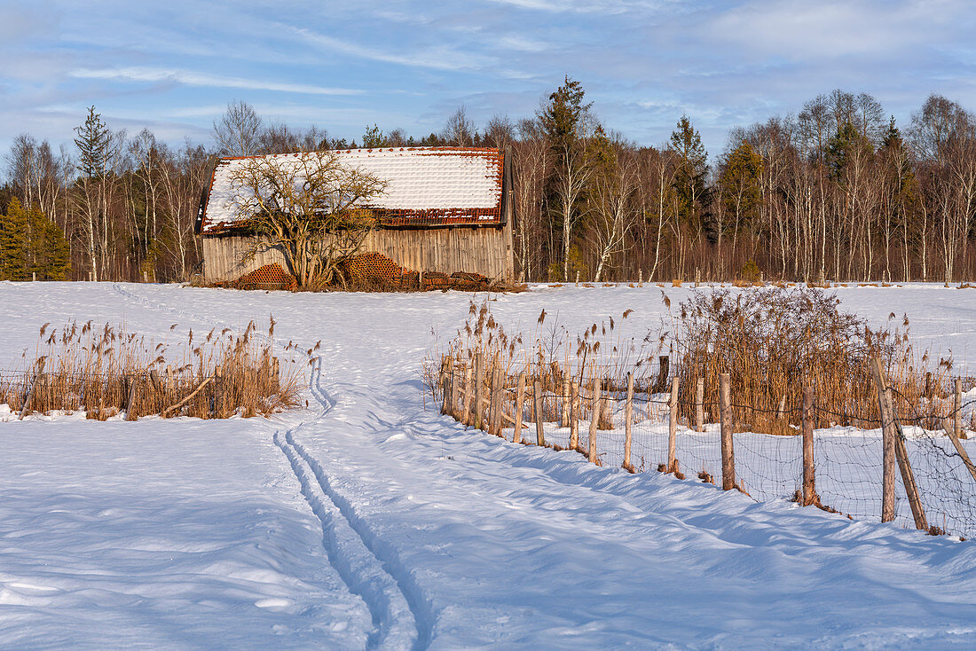 Winter in der Hardtlandschaft, Marnbach, Bayern, Deutschland, Europa