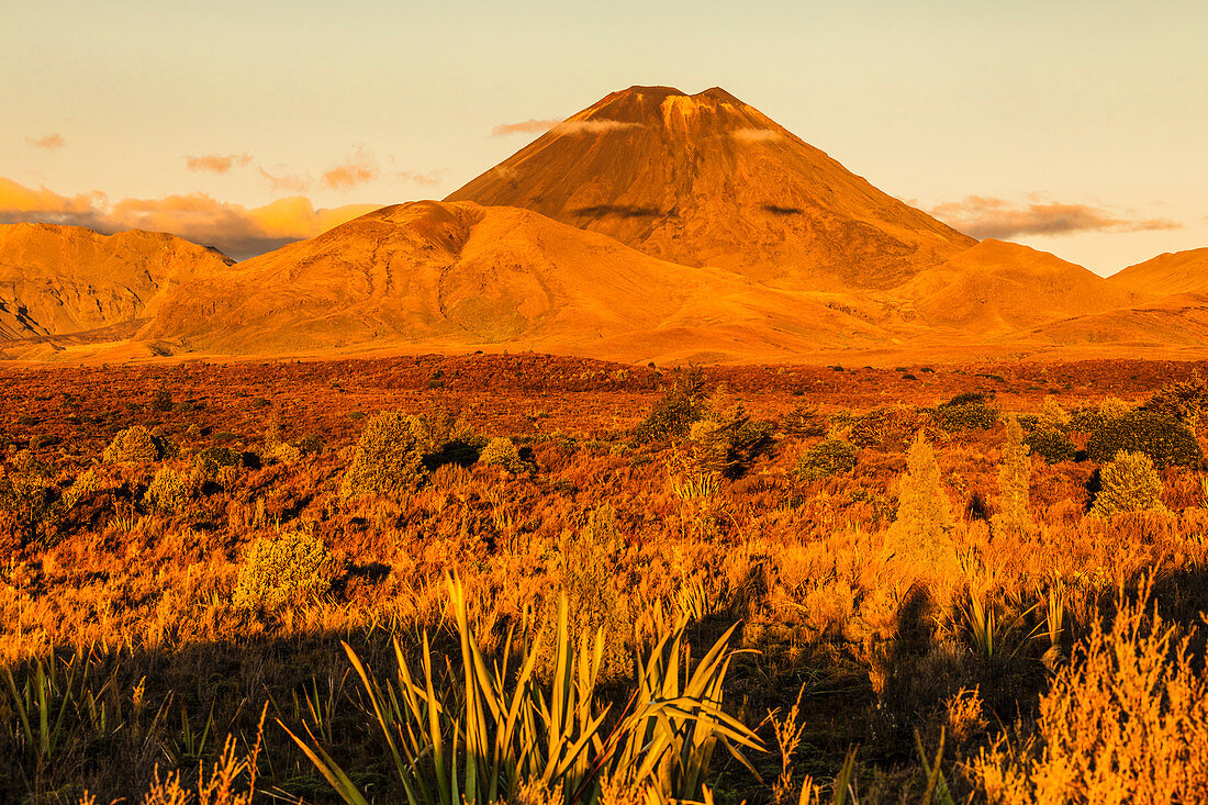 Mount Ngauruhoe, Tongariro-Nationalpark, UNESCO-Weltkulturerbe, Nordinsel, Neuseeland, Pazifik