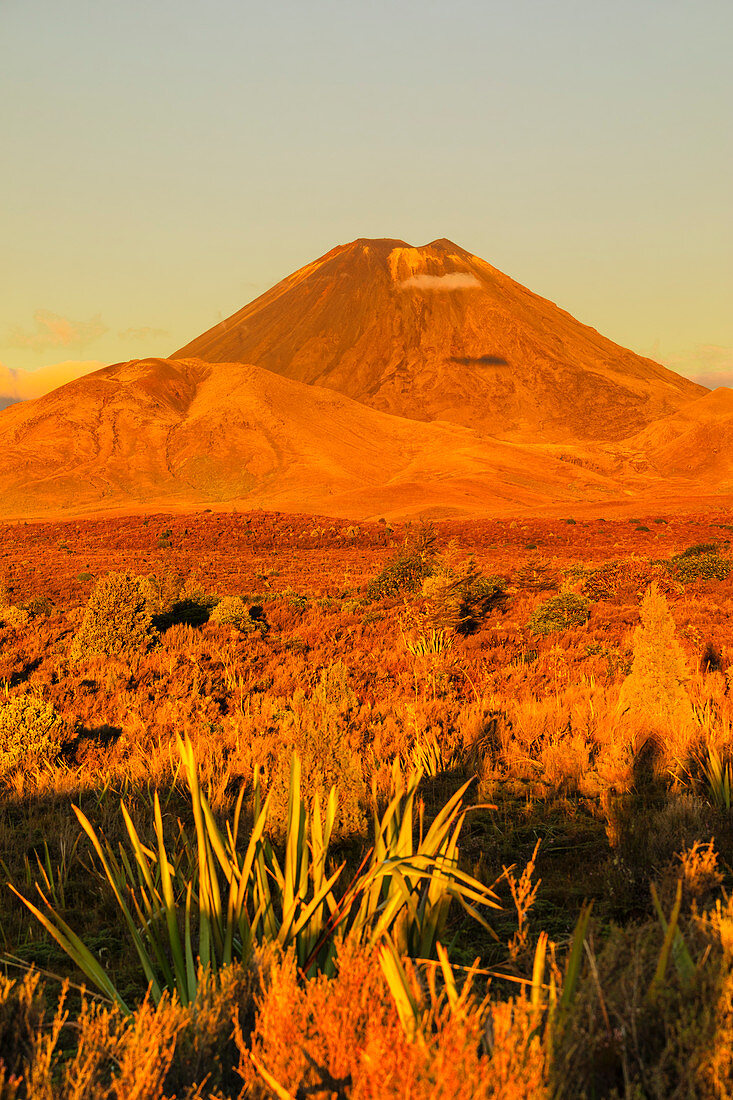 Mount Ngauruhoe bei Sonnenuntergang, Tongariro-Nationalpark, UNESCO-Weltkulturerbe, Nordinsel, Neuseeland, Pazifik