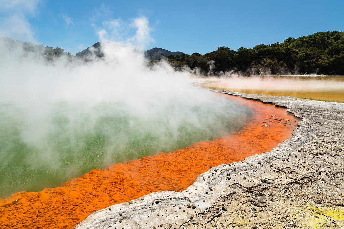 Champagner-Pool, Wai-O-Tapu-Thermalwunderland, Rotorua, Bay of Plenty, Nordinsel, Neuseeland, Pazifik