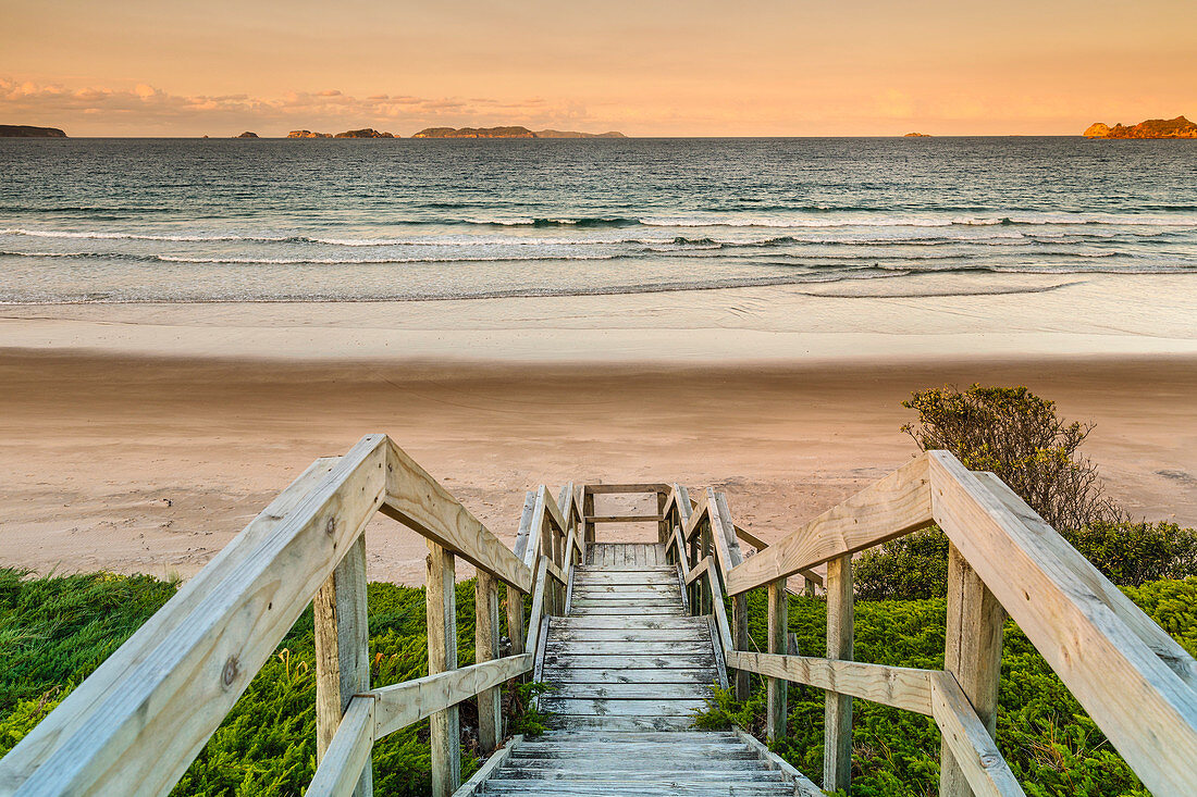 Opito Beach, nahe Whitianga Village, Coromandel-Halbinsel, Waikato, Nordinsel, Neuseeland, Pazifik