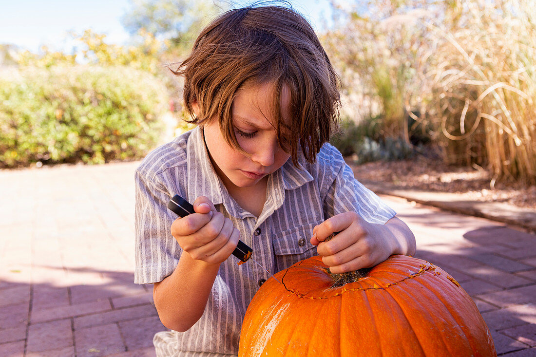 Young boy carving pumpkin on patio.