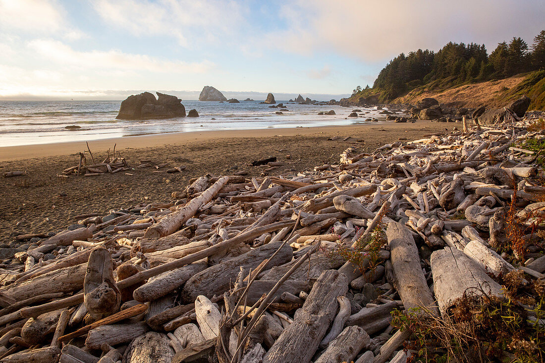 Treibholz stapelte sich bei Flut am Hidden Beach, Klamath, Kalifornien, Vereinigte Staaten von Amerika, Nordamerika