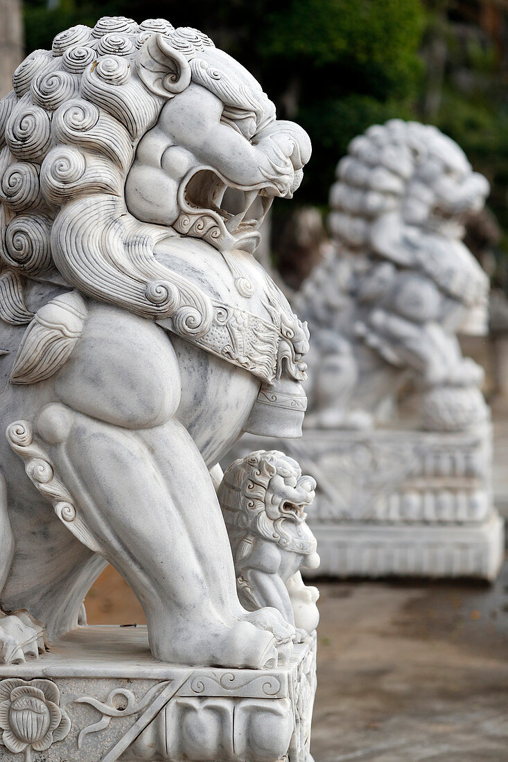 Long Khanh buddhistische Pagode, kaiserliche Wächterlöwenstatue am Eingang, Quy Nhon, Vietnam, Indochina, Südostasien, Asien