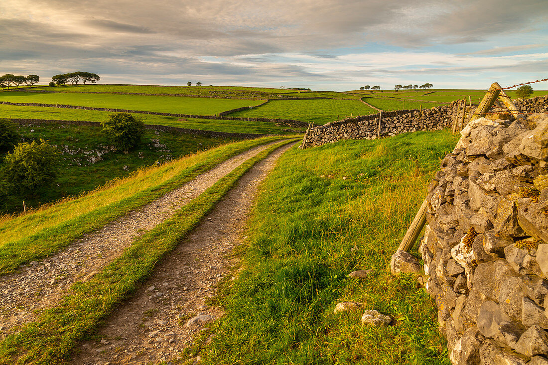 View of track and landscape near Whetton, Tideswell, Peak District National Park, Derbyshire, England, United Kingdom, Europe