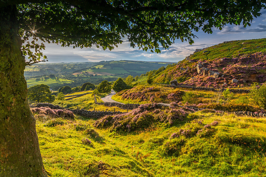 Ansicht von Curbar Edge von Baslow Edge, Baslow, Nationalpark Peak District, Derbyshire, England, Vereinigtes Königreich, Europa