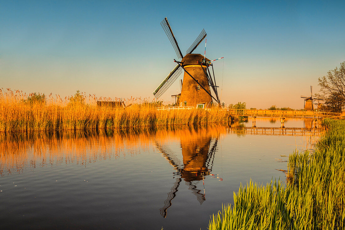 Windmills at sunset, Kinderdijk, UNESCO World Heritage Site, South Holland, Netherlands, Europe