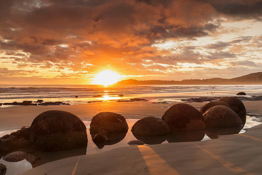 Moeraki Boulders bei Sonnenaufgang, Otago, Südinsel, Neuseeland, Pazifik