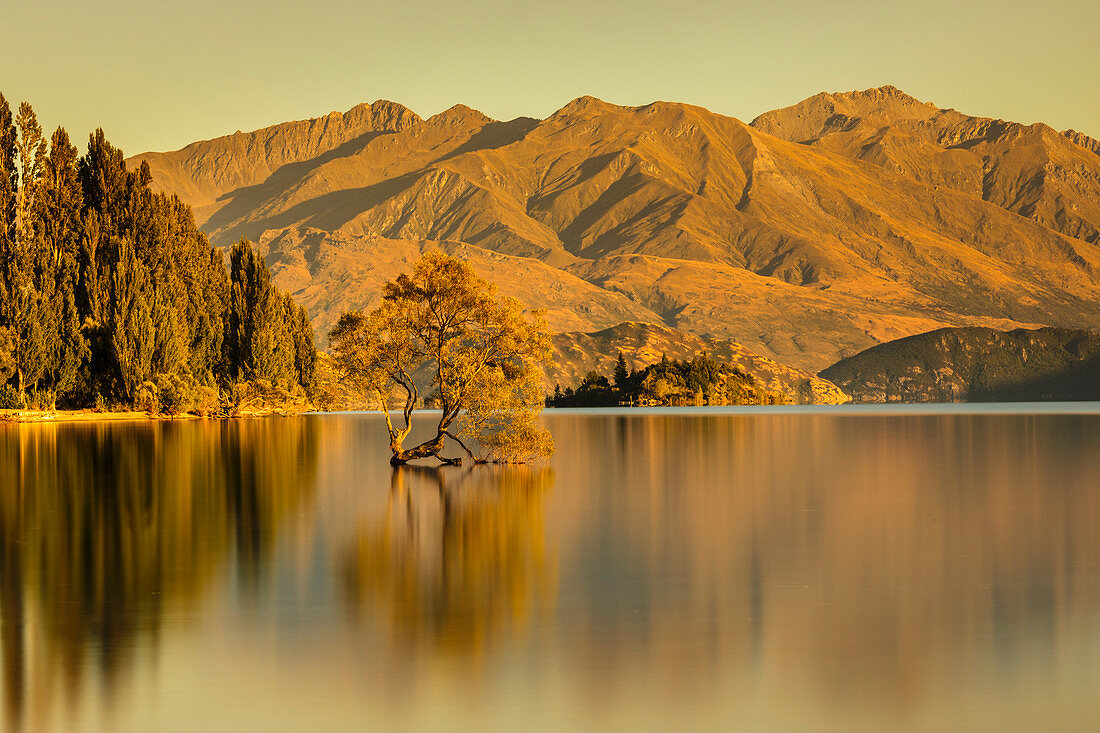 Lake Wanaka at sunrise, Mount-Aspiring National Park, UNESCO World Heritage Site, Otago, South Island, New Zealand, Pacific