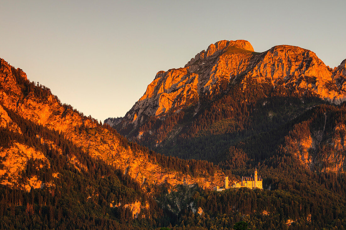 Schloss Neuschwanstein bei Sonnenuntergang, Schwangau, Allgau, Schwaben, Bayern, Deutschland, Europa