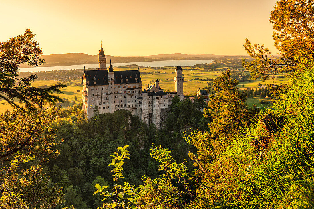 Neuschwanstein Castle at sunset, view to Forggensee Lake, Schwangau, Allgau, Schwaben, Bavaria, Germany, Europe