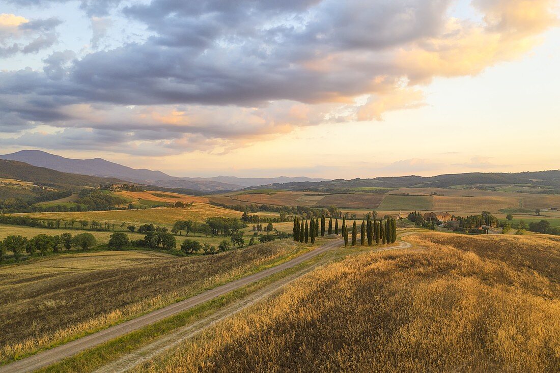 aerial view taken of the iconic cypresses of San Quirico during a warm summer sunset, Unesco World Heritage Site, municipality of San Quirico d'Orcia, Siena province, Tuscany district, Italy, Europe