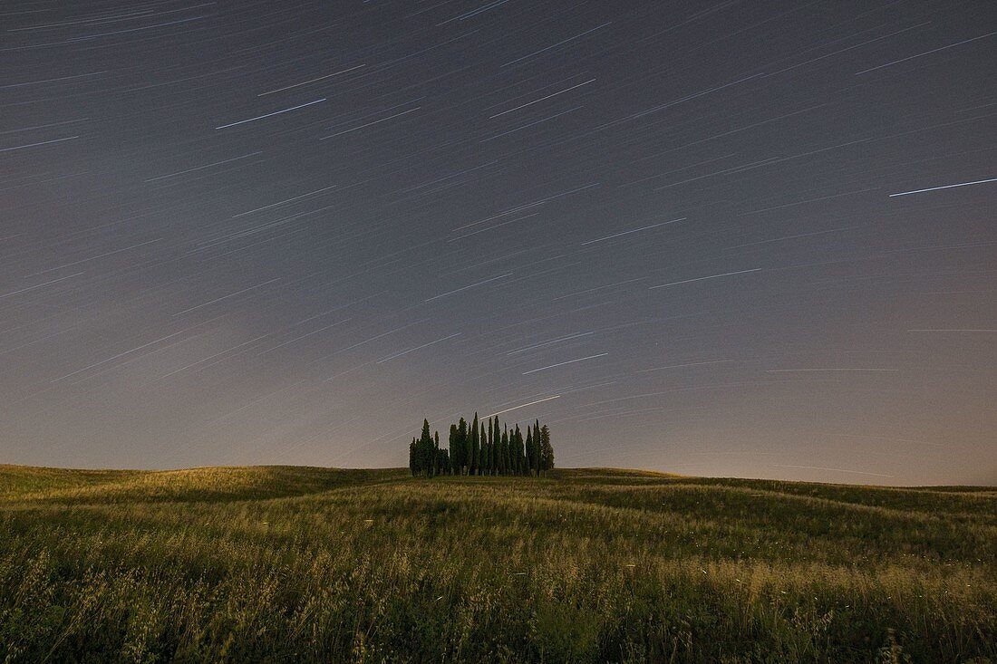 Bewegung der Sterne über den ikonischen Zypressen von San Quirico d'Orcia, UNESCO-Weltkulturerbe, Provinz Siena, Toskana, Italien, Europa