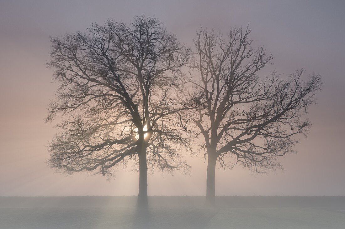 Provinz Turin, Piemont, Italien, Europa. Magischer Wintersonnenaufgang in der piemontesischen Ebene